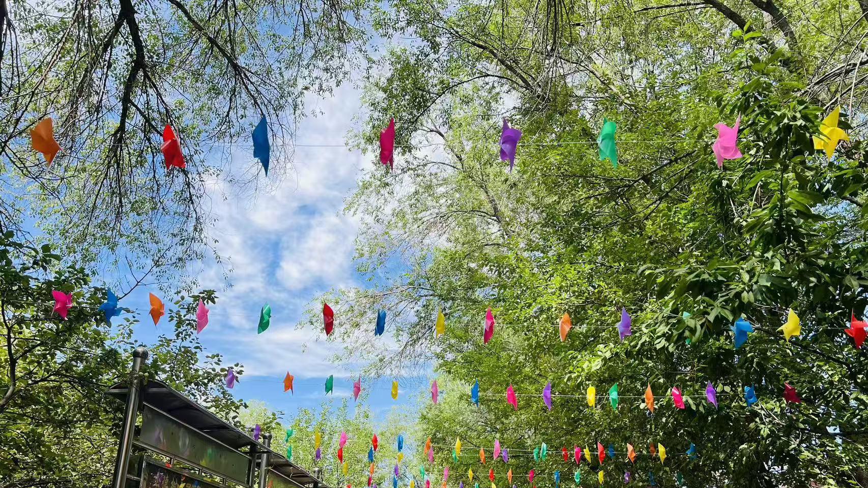 老师面对孩子刚上幼儿园哭闹心态调整全攻略：高频疑问解答，新手也能轻松上手