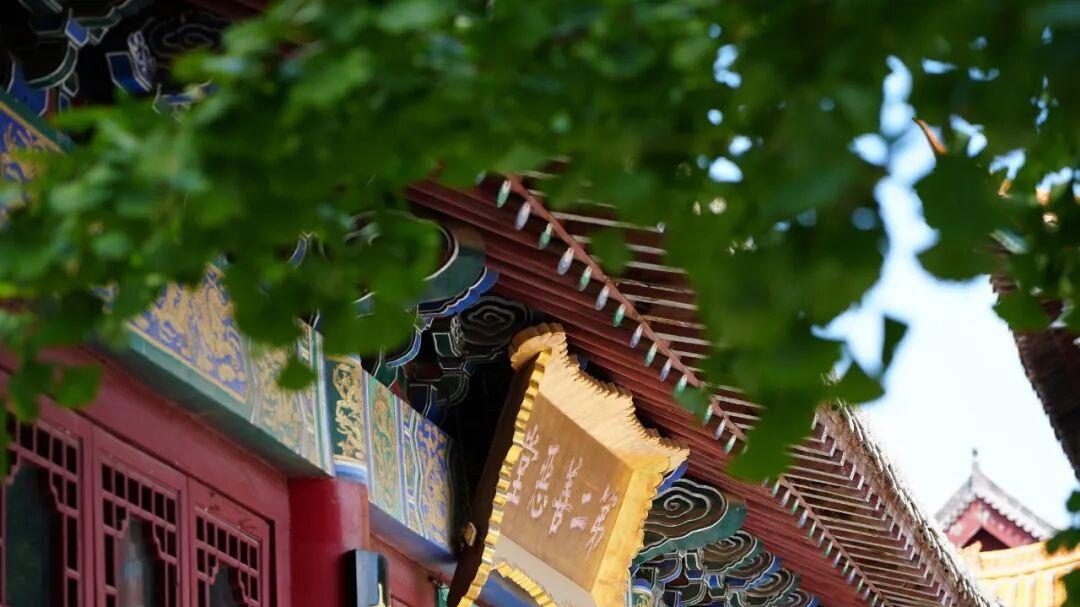 盛夏，到古灵山赴一场22℃的清凉之约