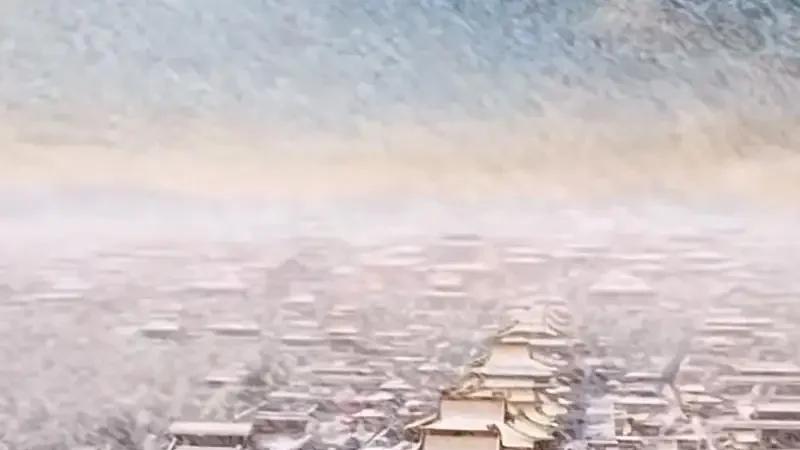 美洲原生花草树-紫茉莉