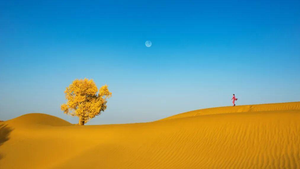 修好“口德”不轻易评判人，是帮你自己积福