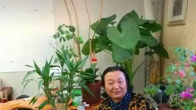 姜银【丙午启新程】2026中国艺术名家贺新春