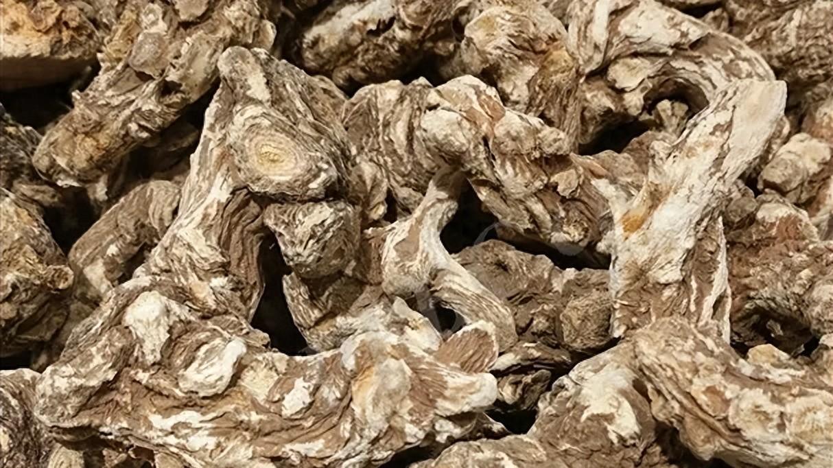 “当归”的这个副作用，你知道吗？