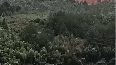 养殖项目选址存争议、周边环境受波及？村民表达强烈关切