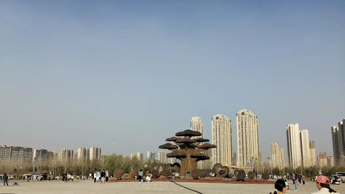 十年写作浮沉录