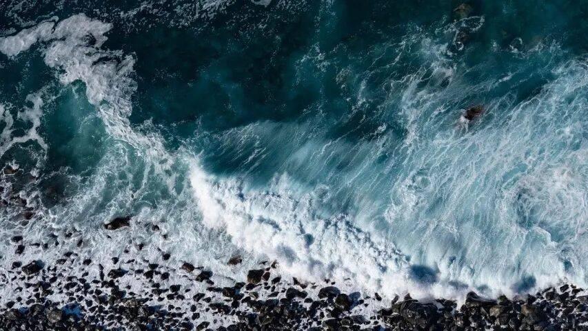 家电业谋增长！海尔美的方太老板海信出重拳，追觅康佳创维又激荡