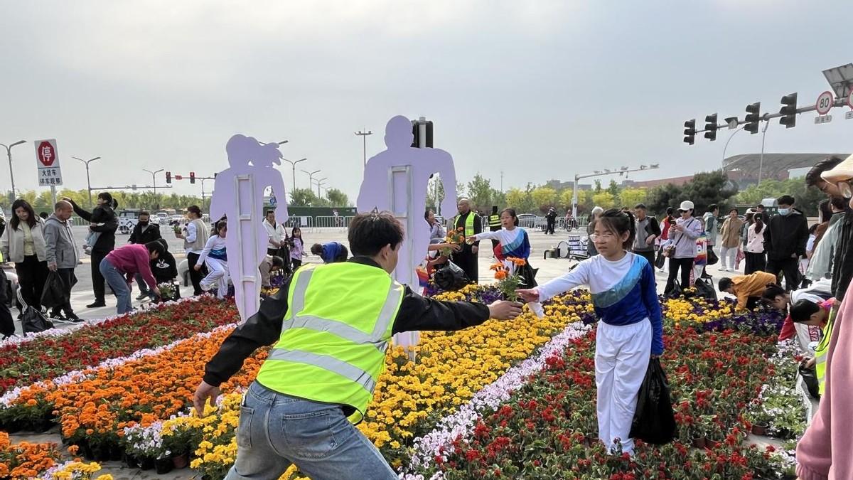 保定：保马落幕传花香，绿色接力润民心