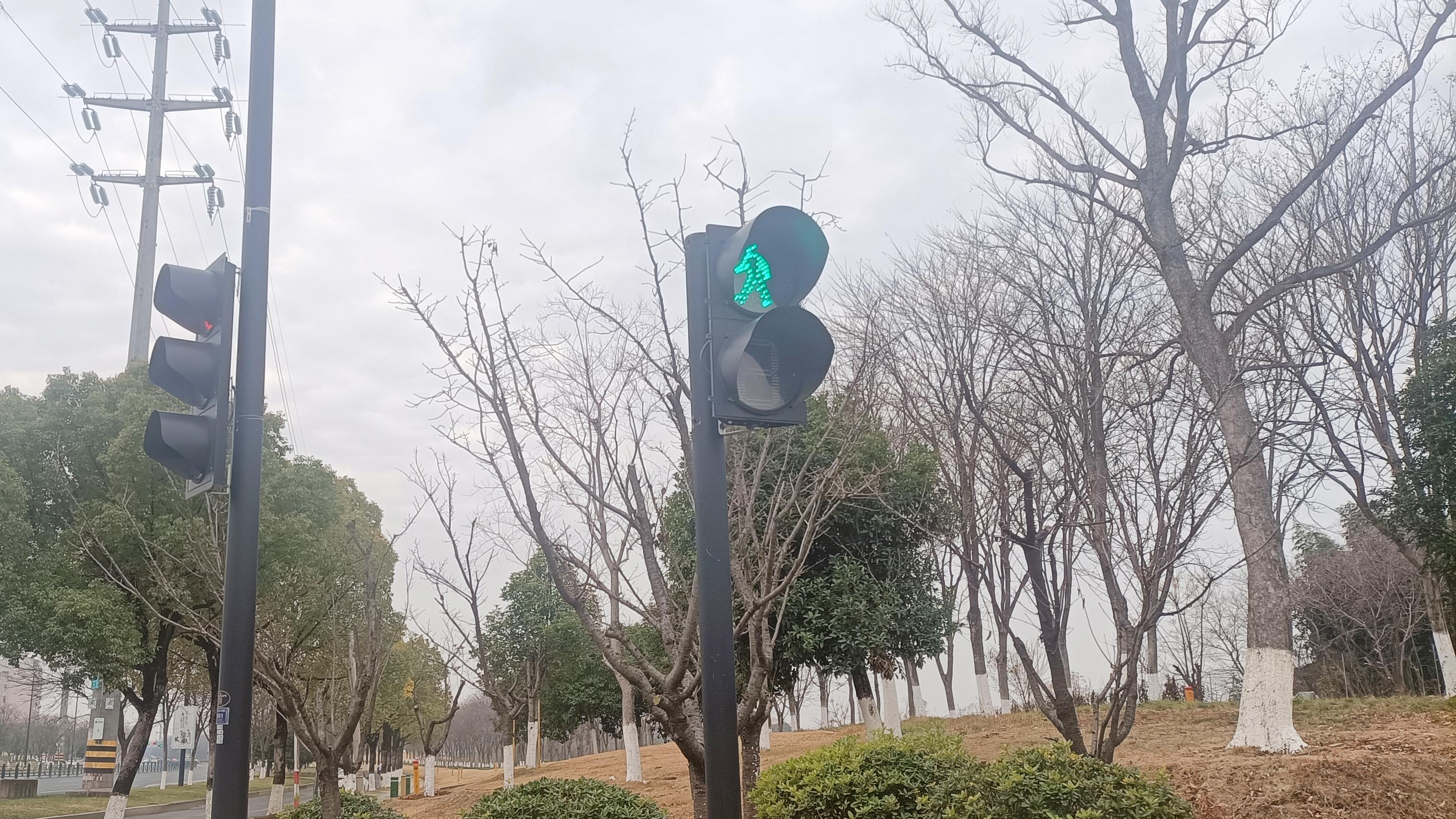 掌控自我：这场无声革命决定你的人生高度