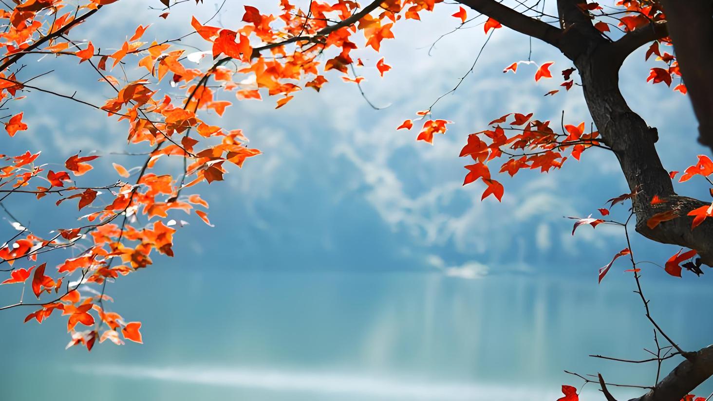 网上经常有人说“三观被颠覆了”。