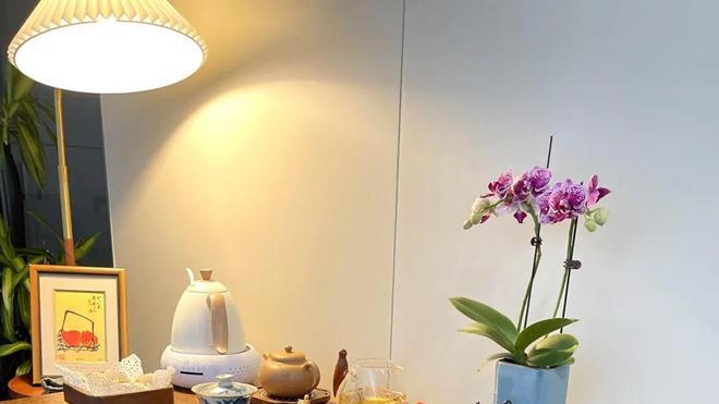 闲置的“老式缝纫机”太占空间？看完网友的妙用后，发现全是脑洞