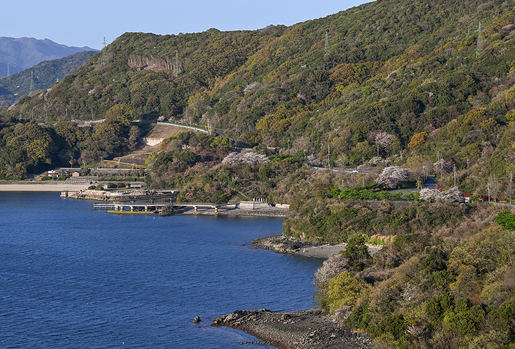 蝴蝶大乐透26040期分析，本期的热码需要防吗？大家如何选择呢