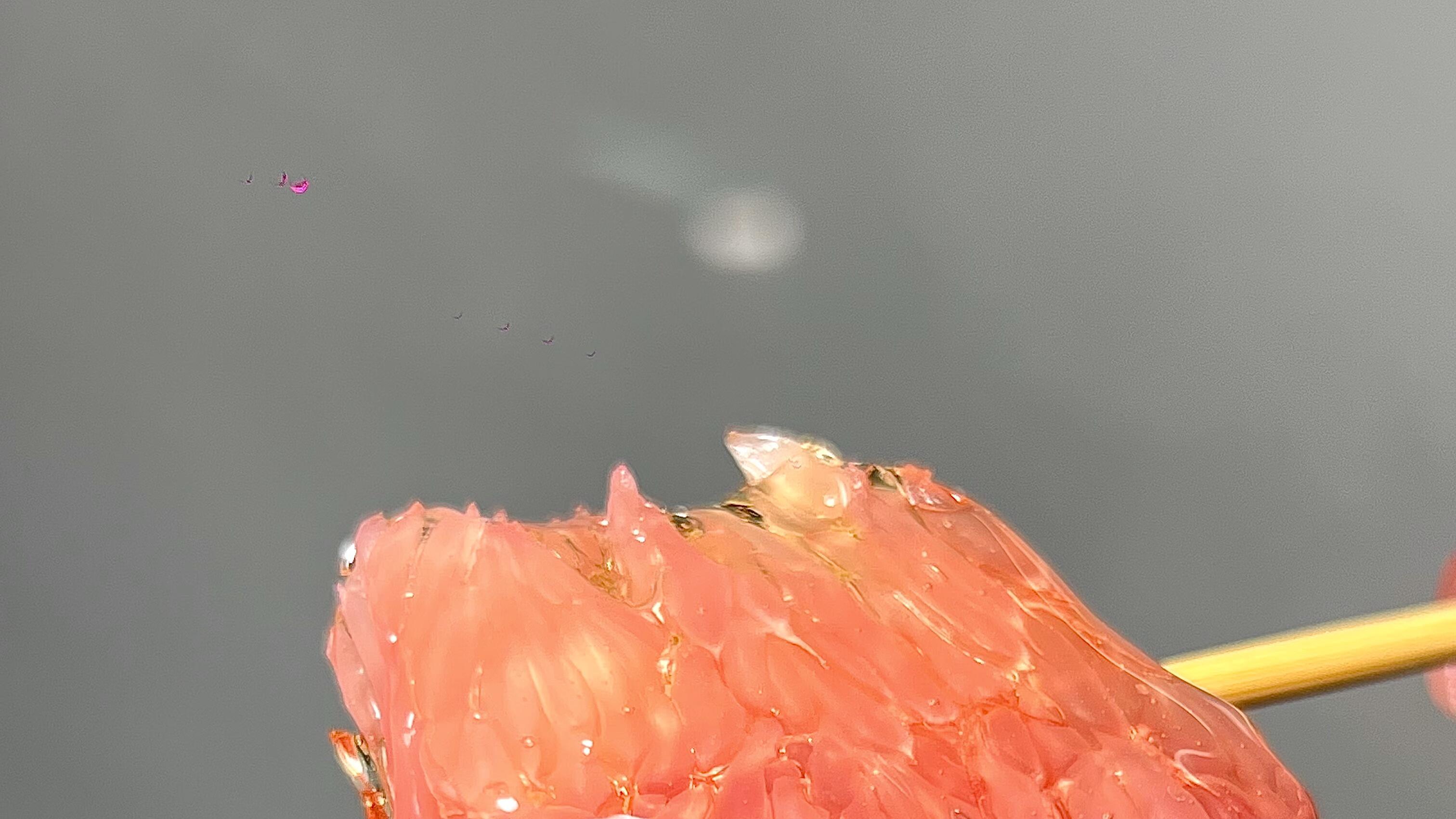 一个会用到去世的冰糖葫芦方子