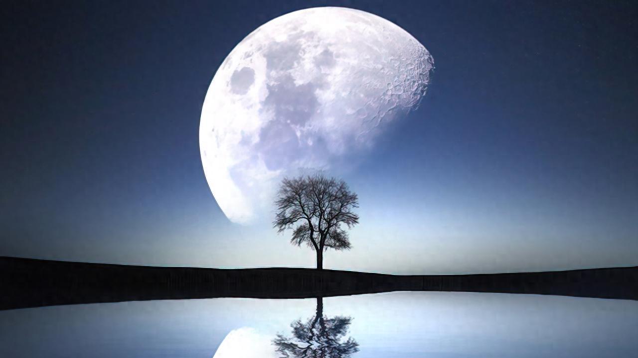 2026国考省级申论第三题，20满分，得10分都难