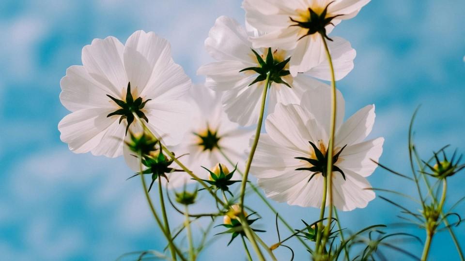 离婚20年，前夫偏瘫我不照顾，儿子说当初挨打，你自己也有原因