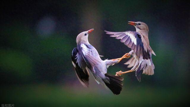 和我擦肩而过的刑事犯罪？