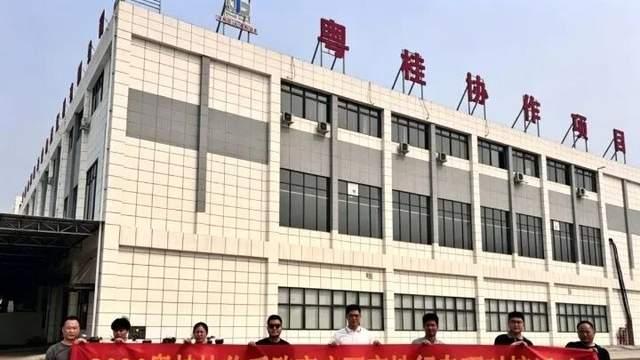 山海协作 产业兴农：百色芒果产值超210亿的“金色路径”