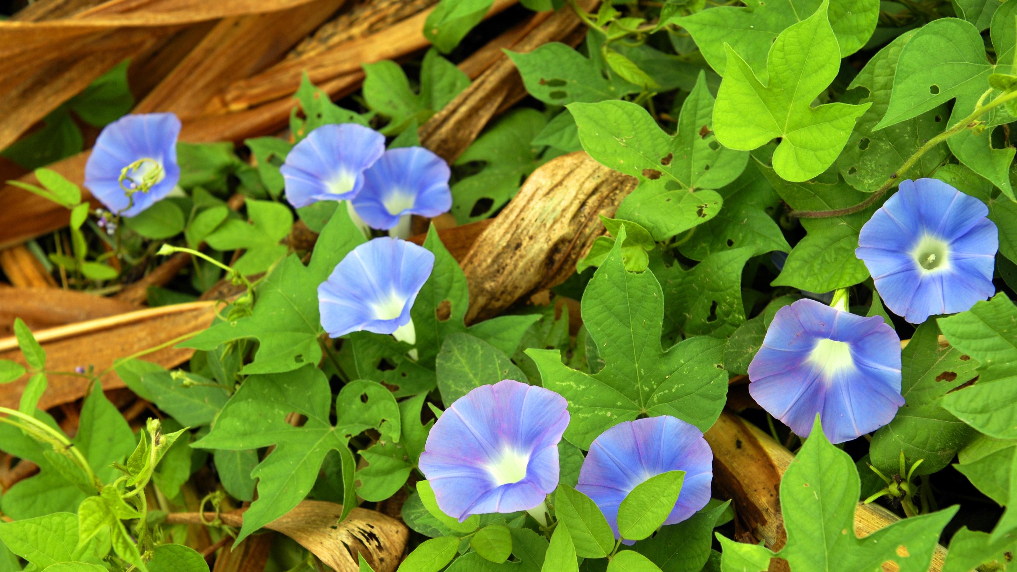 为什么，自然保护区现在可以靠生态赚钱了？