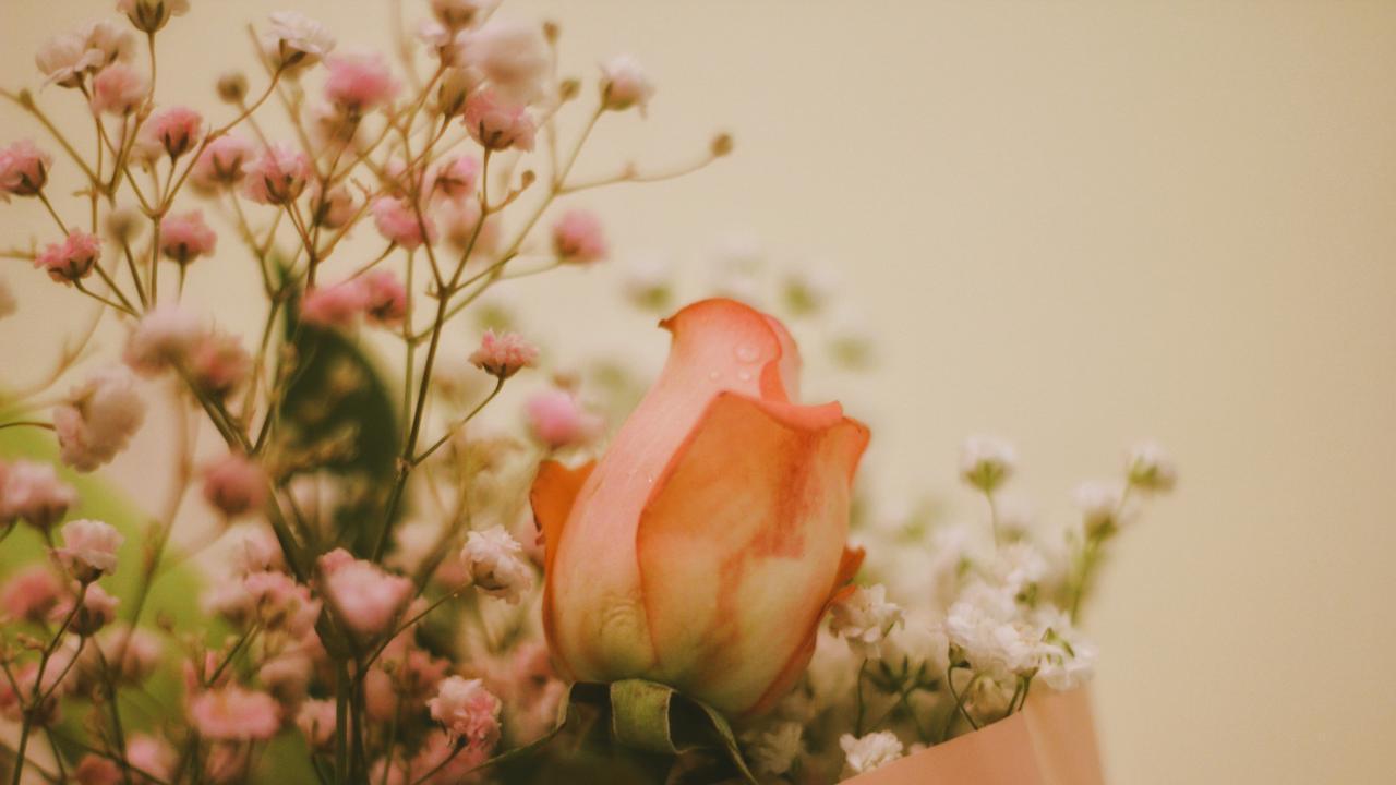 转运不求人，这几个玄学方法很灵验