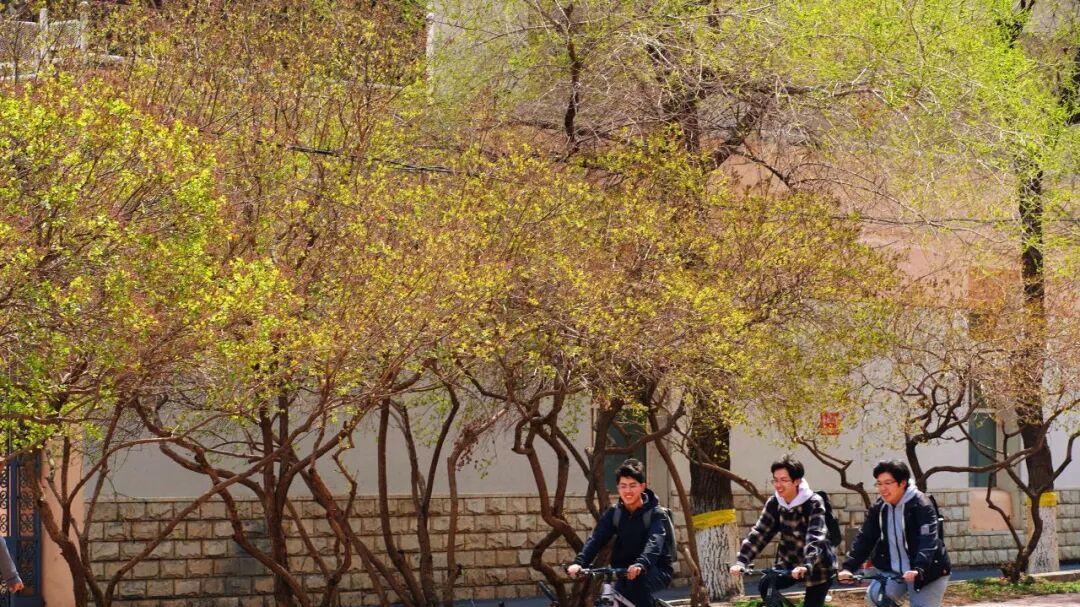 想学理科怎么选？哈尔滨工业大学是首选！