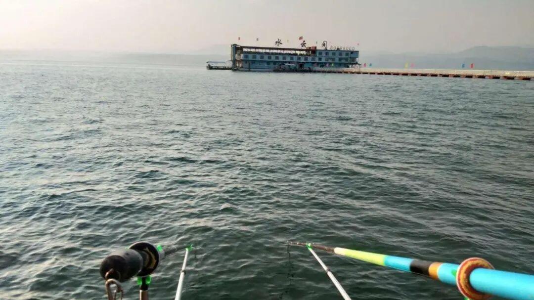 为什么天气变暖，大板鲫反而难钓？野钓师：原来它们在“坐月子”！