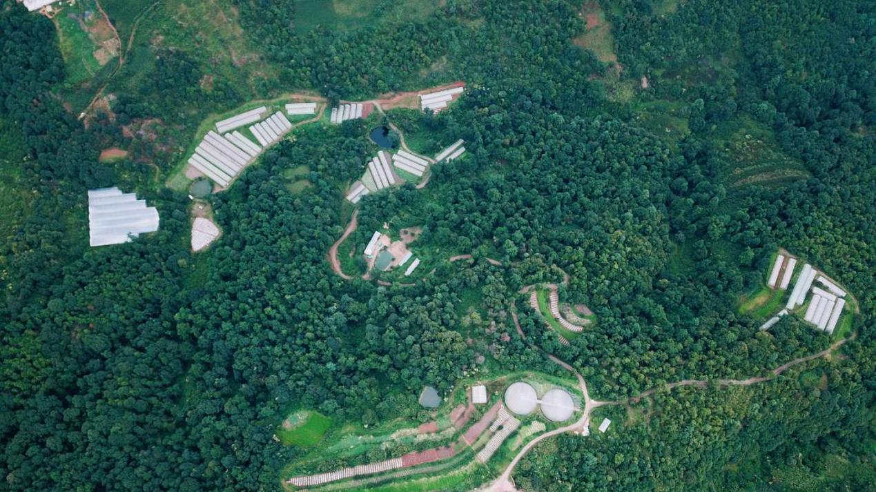 农业为基、汽车与文旅双驱，良道·蔬蜜院新春蔬享会圆满举办