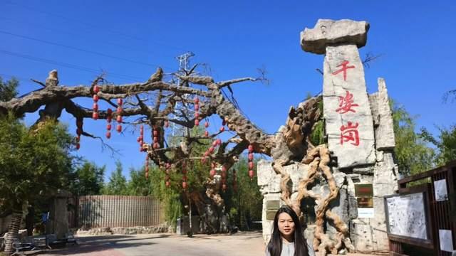 荒滩变景区！千姿岗，正在重新定义临洮的夏日之美