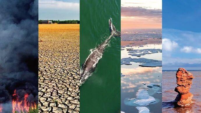 国家气候中心：厄尔尼诺5月入状态！超强台风、极端高温在路上？ 接下来会不会出现更多40度超级高温？