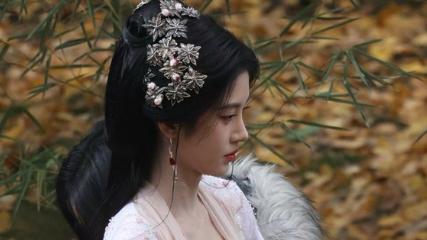 四月热播电视剧前4大盘点