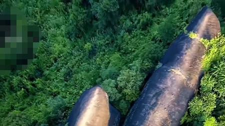 泰国三鲸石：7500 万年的森林巨鲸，是化石奇迹还是自然鬼斧？