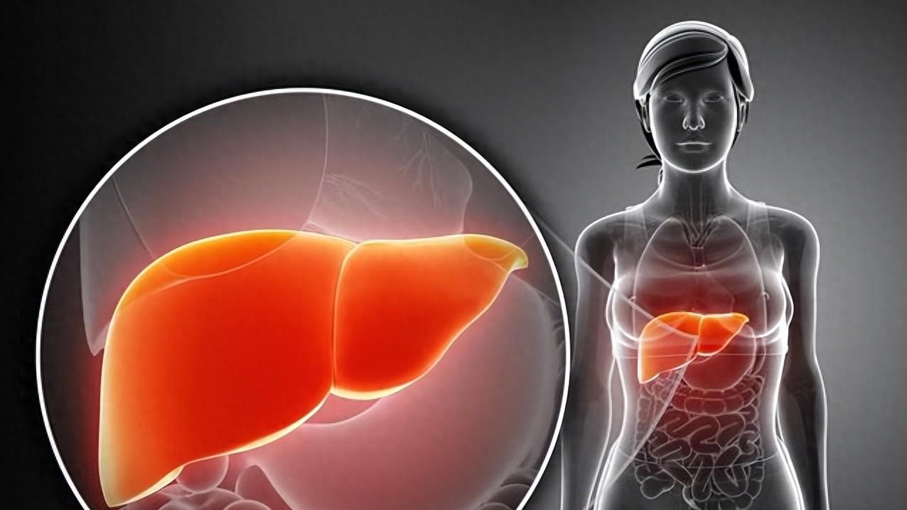 体检报告查出肝囊肿？是不是肿瘤？要不要切掉？会不会癌变？