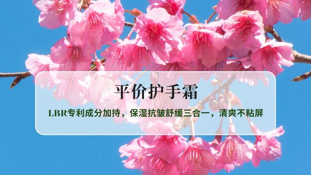 2026办公学习党护手霜！LBR专利成分加持，保湿抗皱舒缓三合一，清爽不粘屏