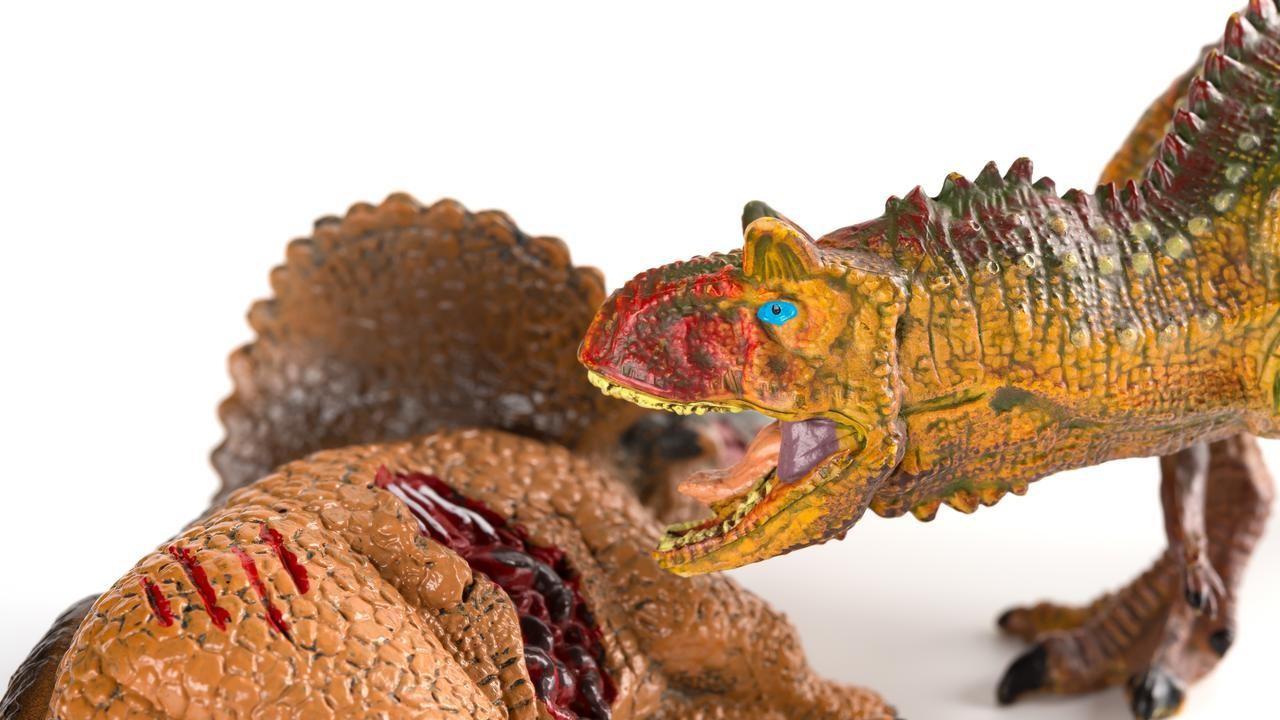 这种恐龙，长得越怪，反而越危险