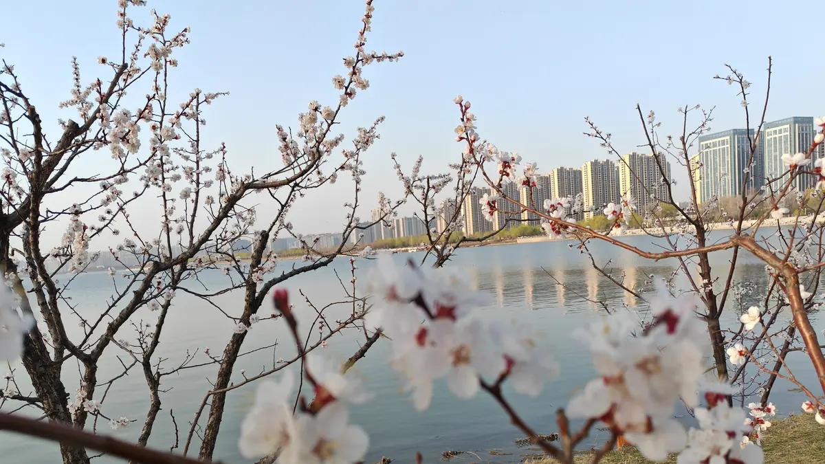 反过来想的四种方式