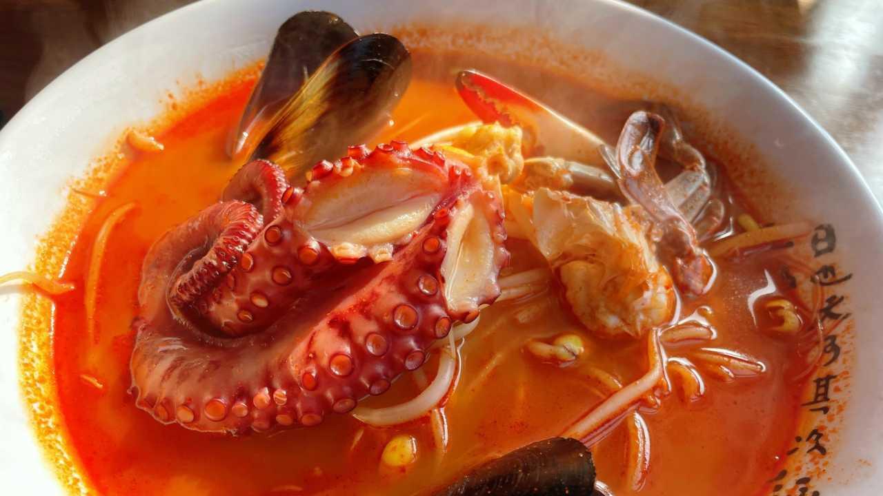 济州，风物如新｜济州岛5天4晚｜