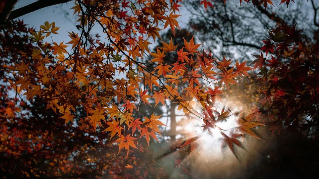 如何让自己的照片更有艺术感？