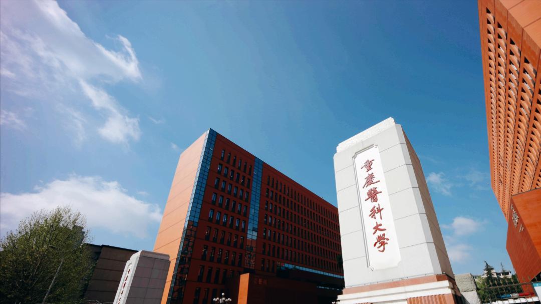 2026重庆高校排名大变局！重医反超西政，重大没进全国前30