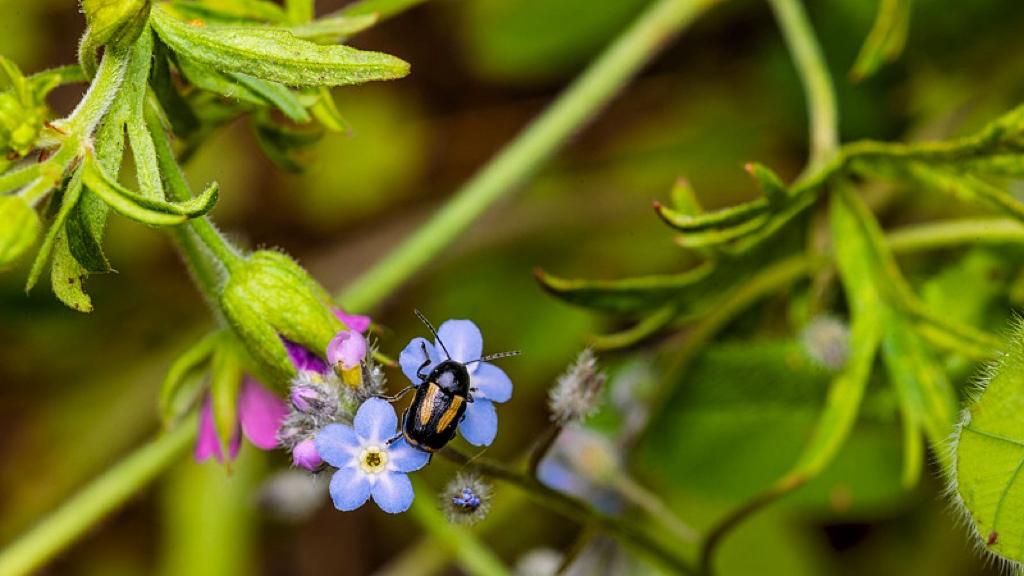 信仰不是墓碑，是还在生长的种子