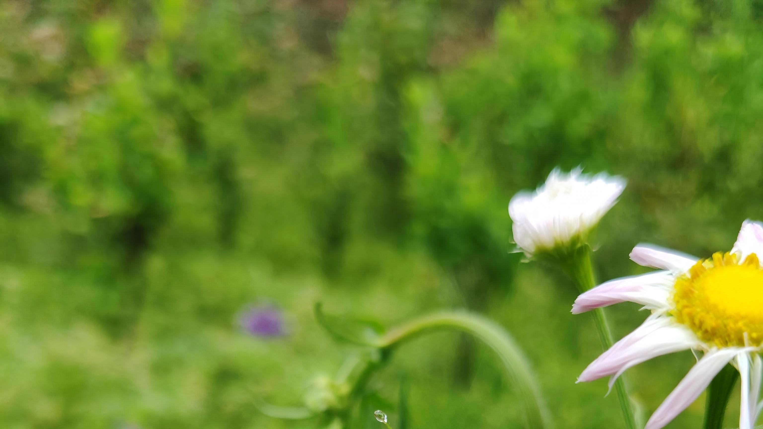 有淡漠却不失掉温热