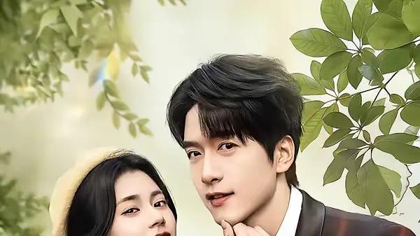 《七年错爱：总裁的迟来忏悔》虐恋反转与制作精良（51集）