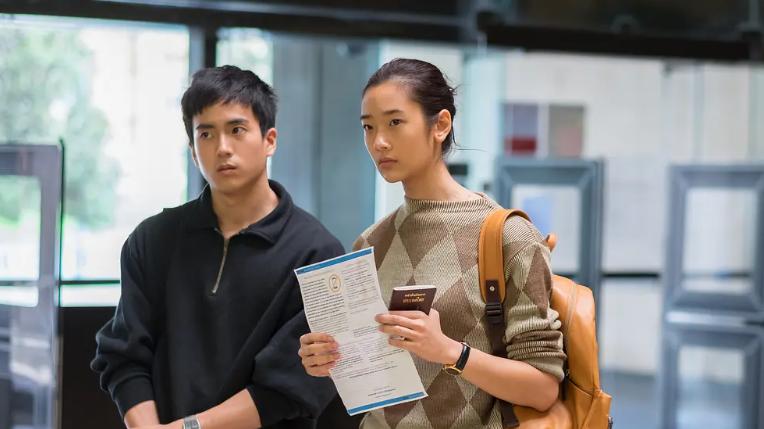 首日票房为零，位列年度倒数第一，《惊魂迷影》被《河狸变身计划》打懵了