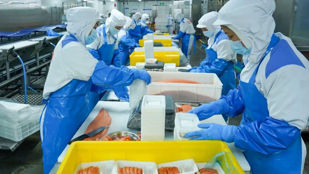 源头+周转+检测，朴朴为三文鱼建立安全铁三角