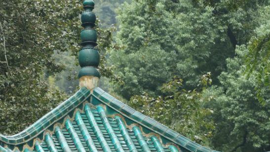 岳麓山后山寻碑记：那些被苔藓覆盖的文人往事