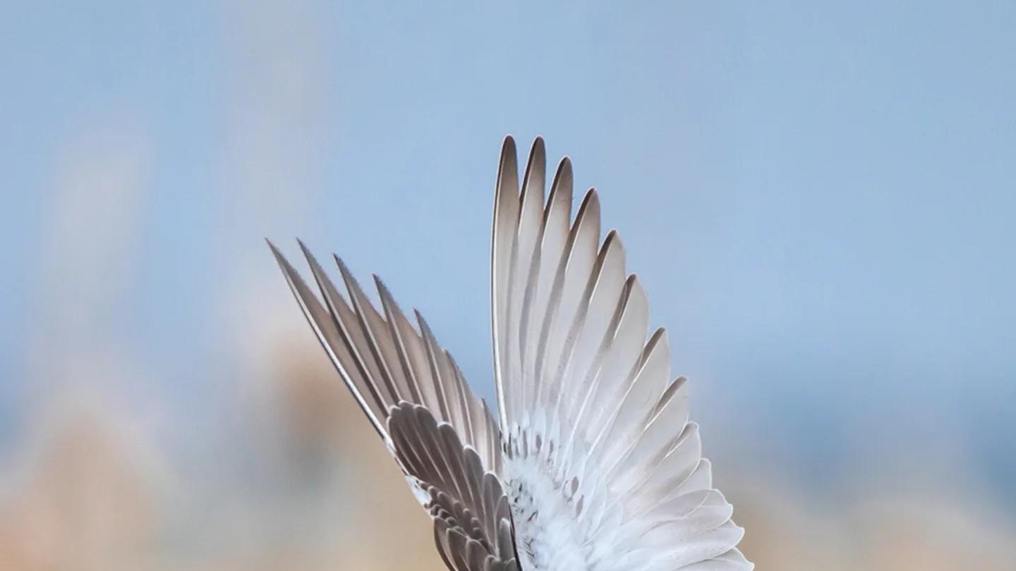 为什么现在没人能静下心读书了