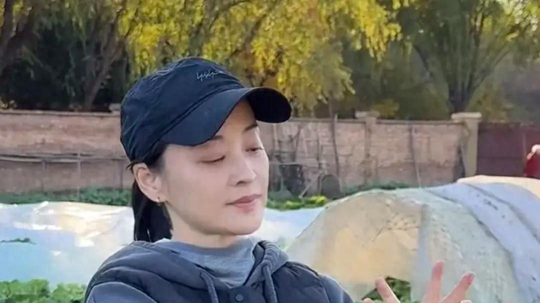 50岁演员梅婷晒打拳视频