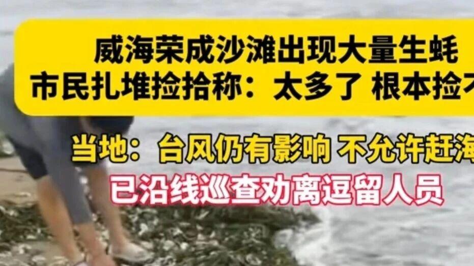 实现生蚝自由了