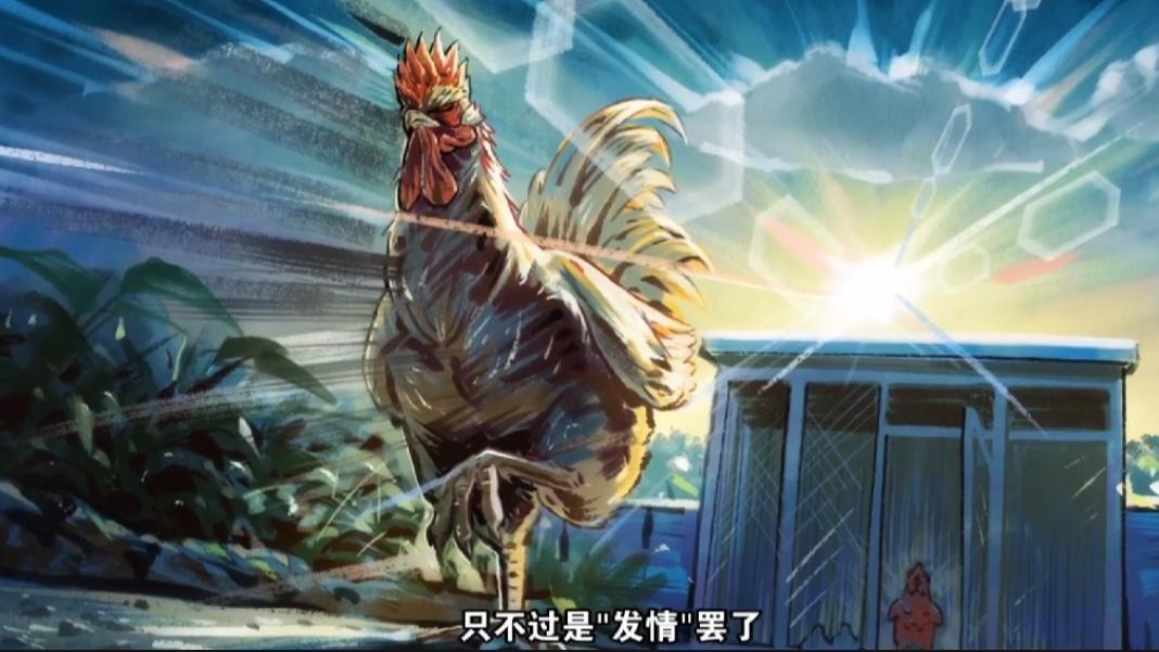 四月新番公鸡斗士第1话，开局看了一次鸡片，战斗热血，结局好笑