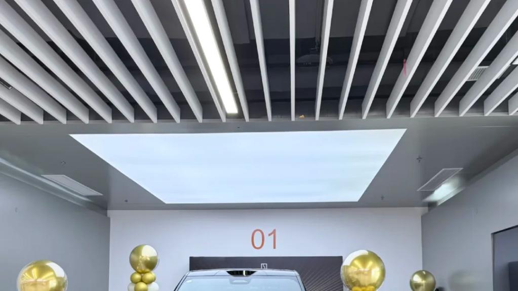 极氪9X这人气，也太夸张了