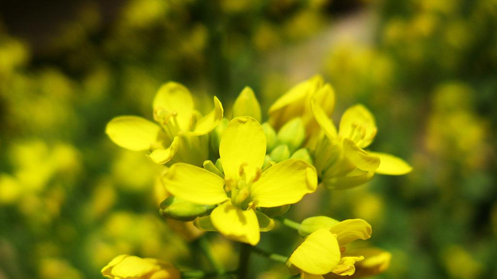 我发现，一个城府深的人，有这28条处世法则