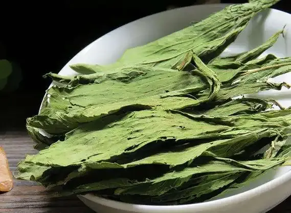 美洲原生花草树-甜叶菊