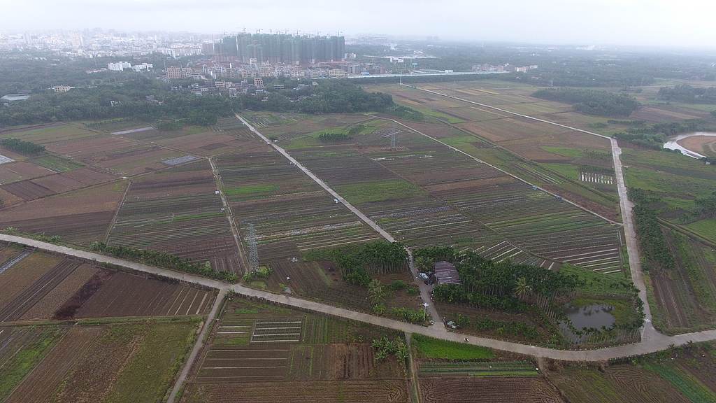殡葬新规3月30日实施，农村土葬不再一刀切，农民朋友搞清这几点！