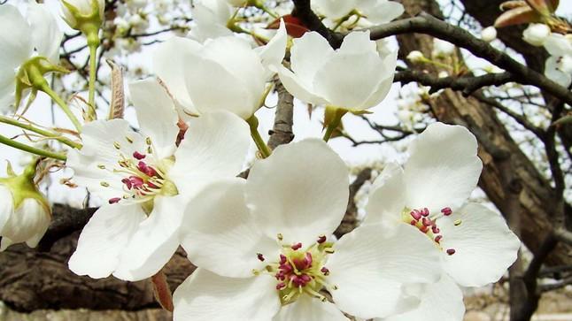 8首被时光雪藏的好诗，全读过的肯定是无可争议的诗词高手